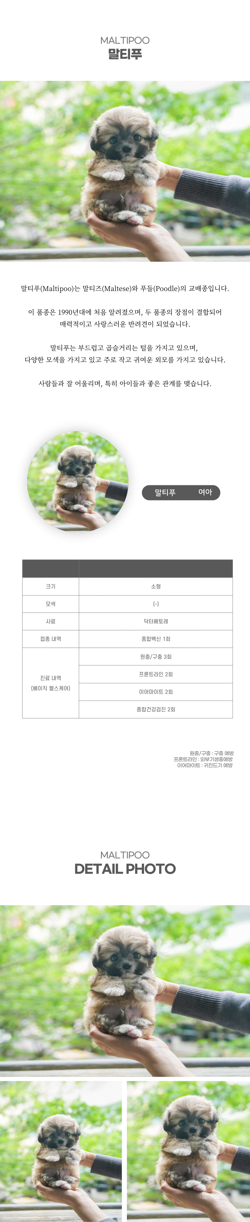 말티푸_상세이미지_2